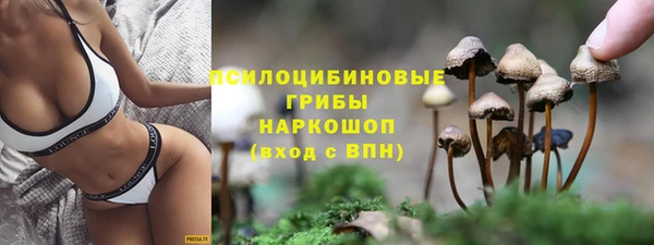mdpv Карпинск