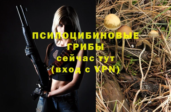 прущая мука Карталы